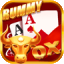 top rummy all app