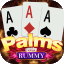 rummy wealth login